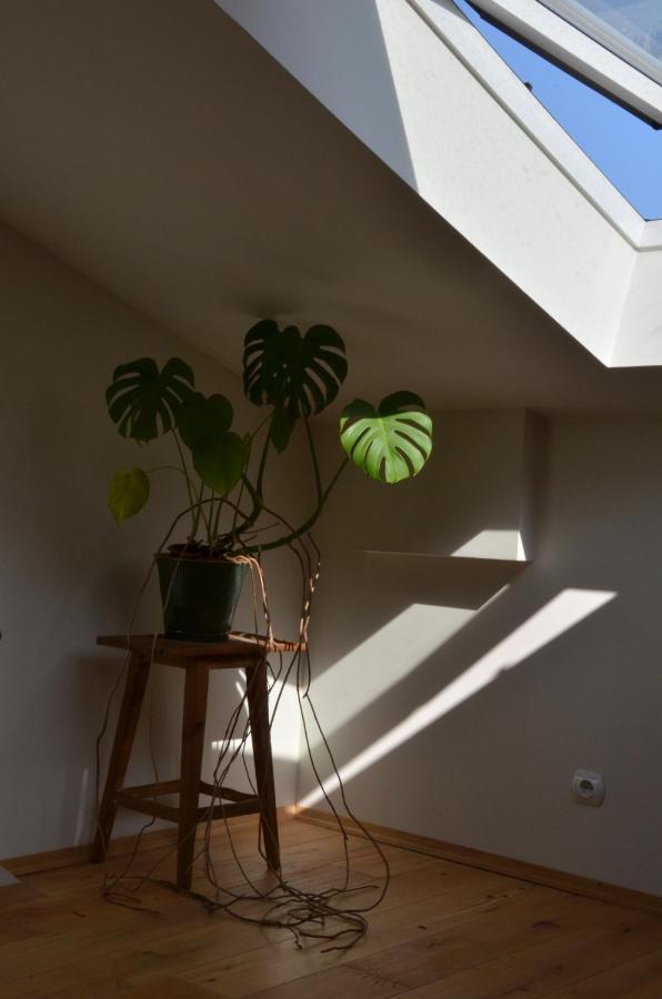 Poddasze na Starym Podgórzu Apartamento Cracóvia Exterior foto